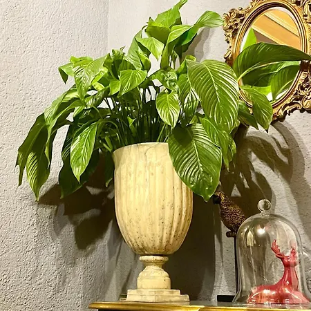 Oxa - Boutique Design Maria Alm am Steinernen Meer