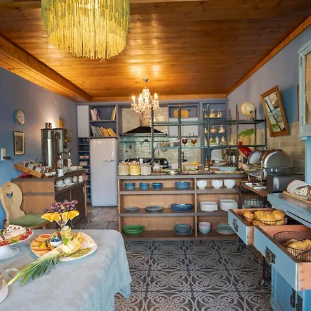 Oxa - Boutique Design